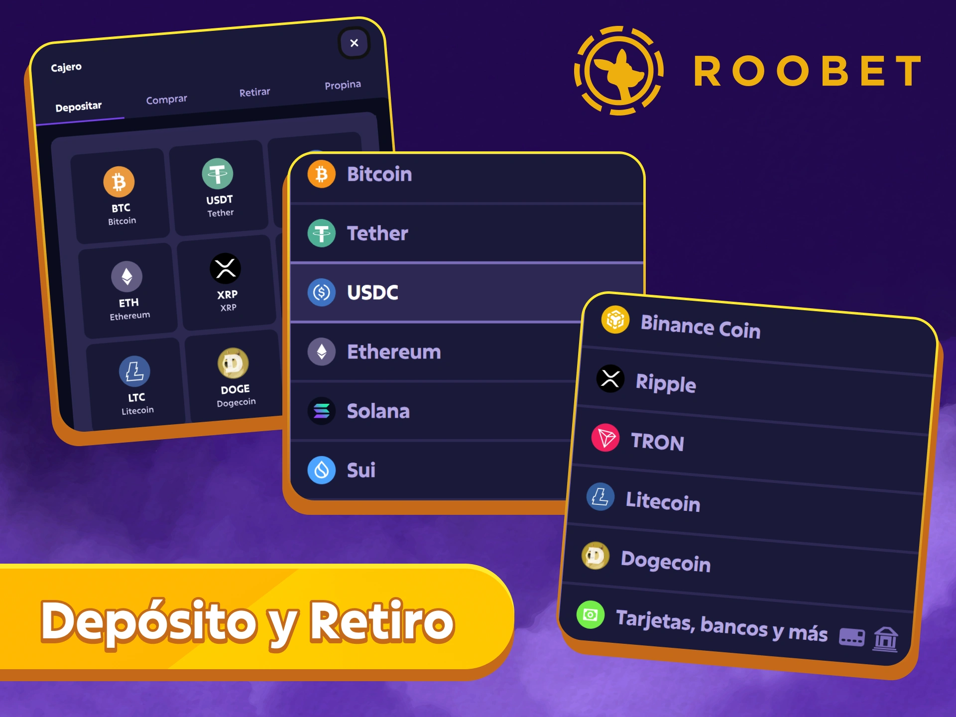 Realiza pagos de forma rápida y segura con la aplicación Roobet.