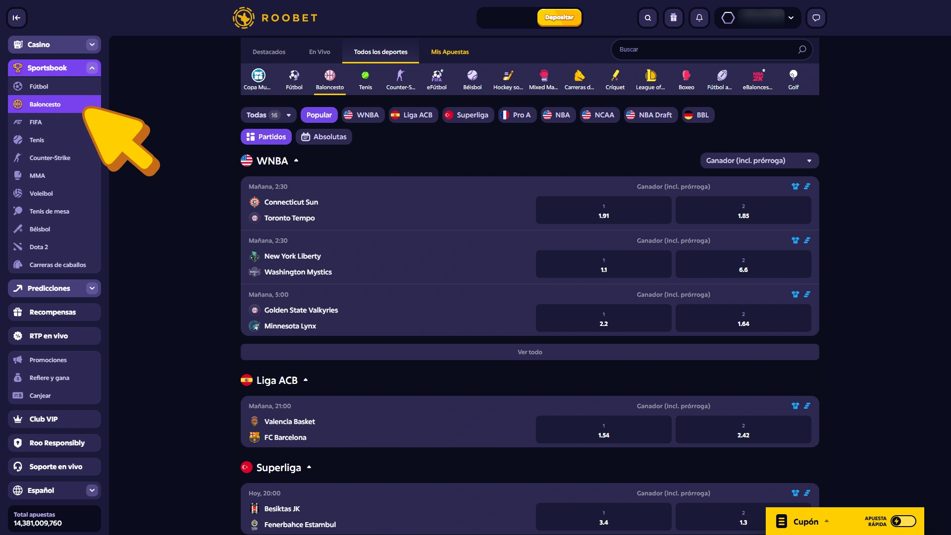 Selecciona baloncesto en la casa de apuestas Roobet.