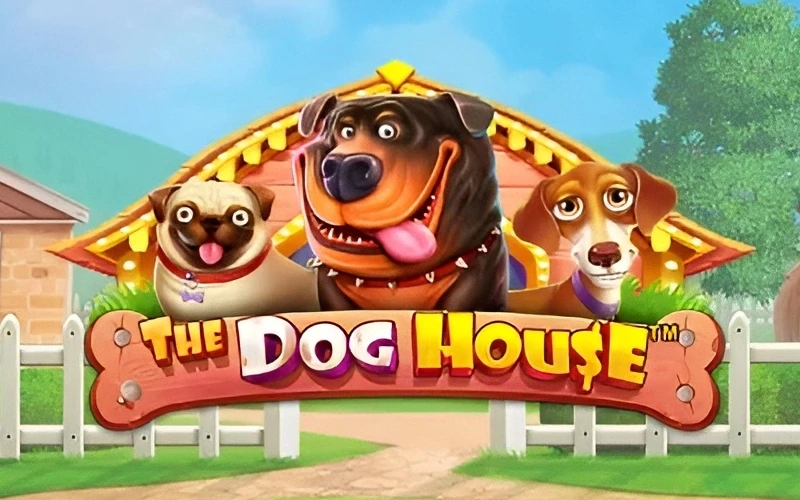 Divertite con los cachorros y multiplicá tus ganancias en The Dog House de Roobet.